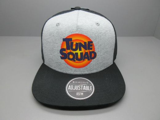 SPACE JAM - Tune Squad Kids Mesh Back Grey Hat